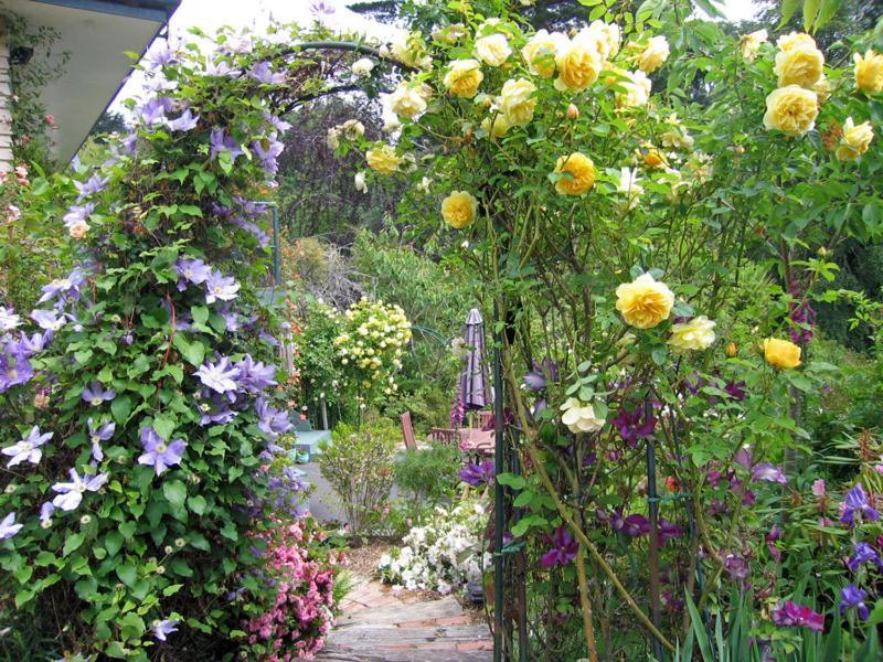 Mcauley Glen Boutique B&B Portobello Esterno foto